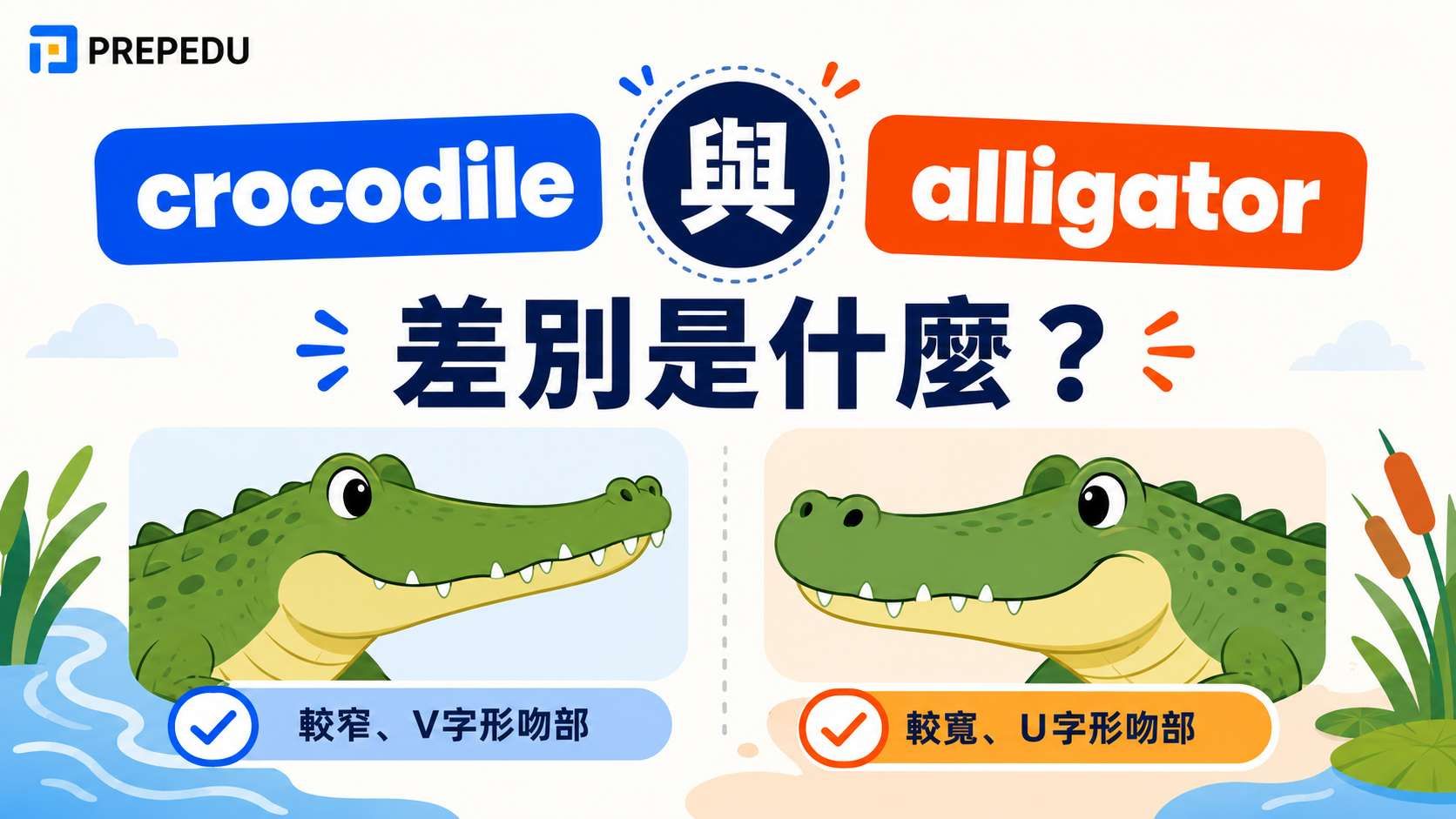 alligator 和 crocodile 差在哪？