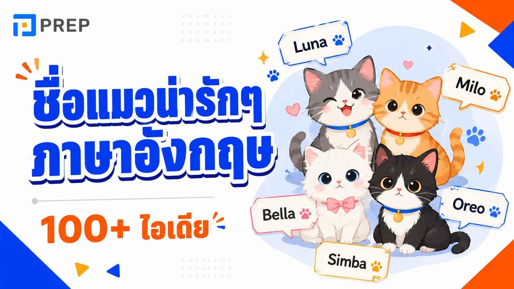 ชื่อแมวน่ารักๆ ภาษาอังกฤษ 100+ ไอเดีย