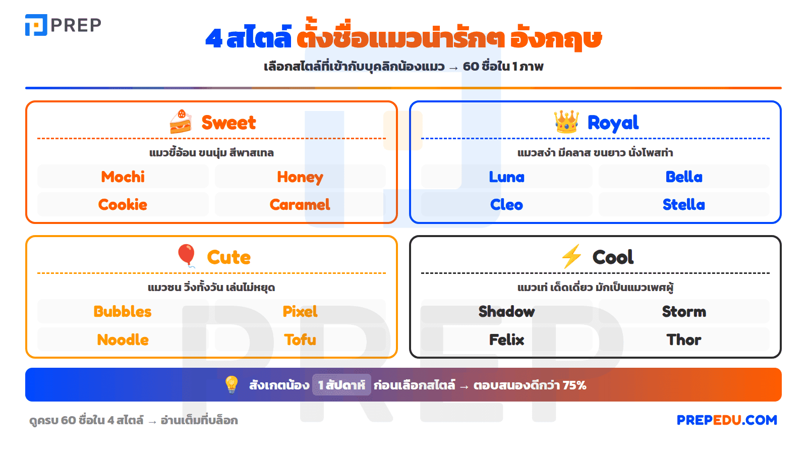 100+ ชื่อแมวน่ารักๆ ภาพรวม ยอด