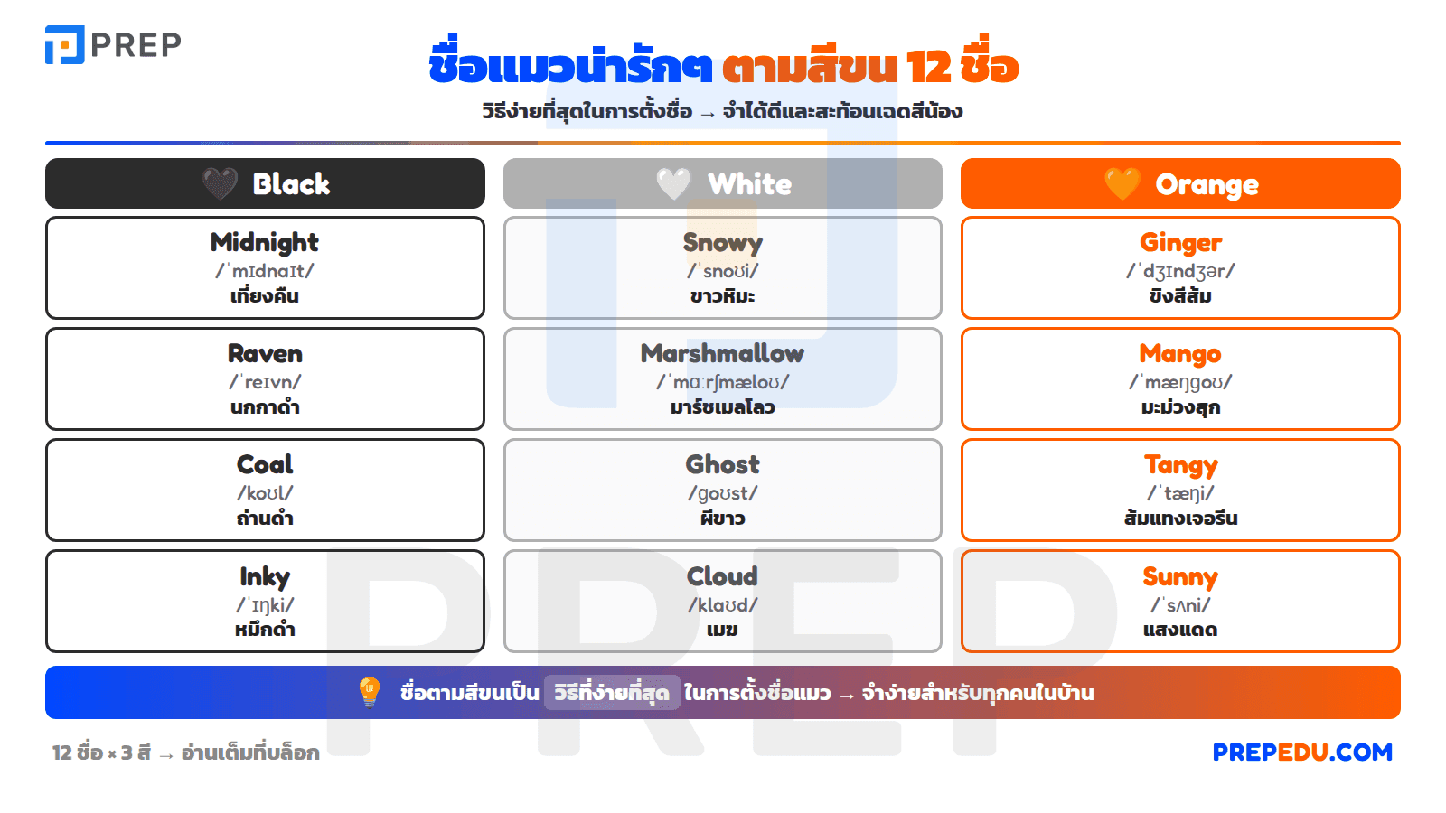 ชื่อแมวตามสีขน (Black / White / Orange)