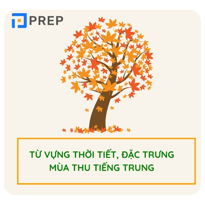 Từ vựng về thời tiết, cảnh sắc mùa thu tiếng Trung
