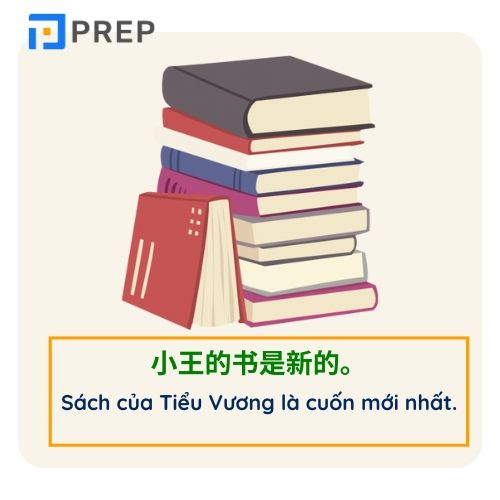Ví dụ mẫu câu đại từ làm định ngữ trong tiếng Trung