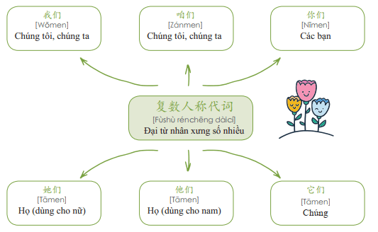 Đại từ nhân xưng số nhiều