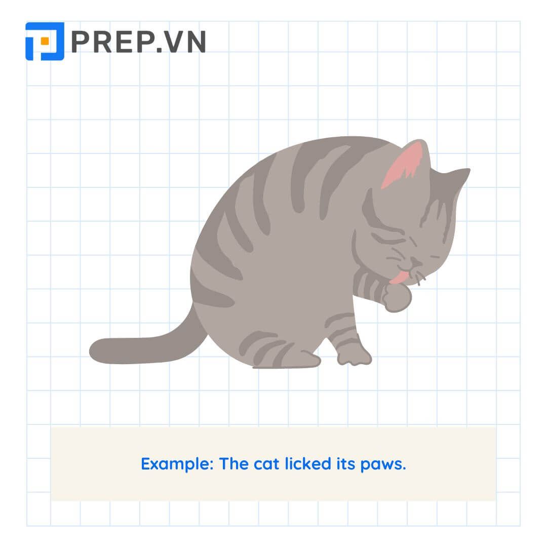 Đại từ sở hữu ngôi nhất quán (Possessive Pronouns)