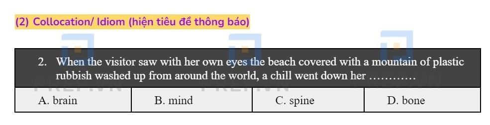 Dạng câu hỏi Collocation/ Idiom