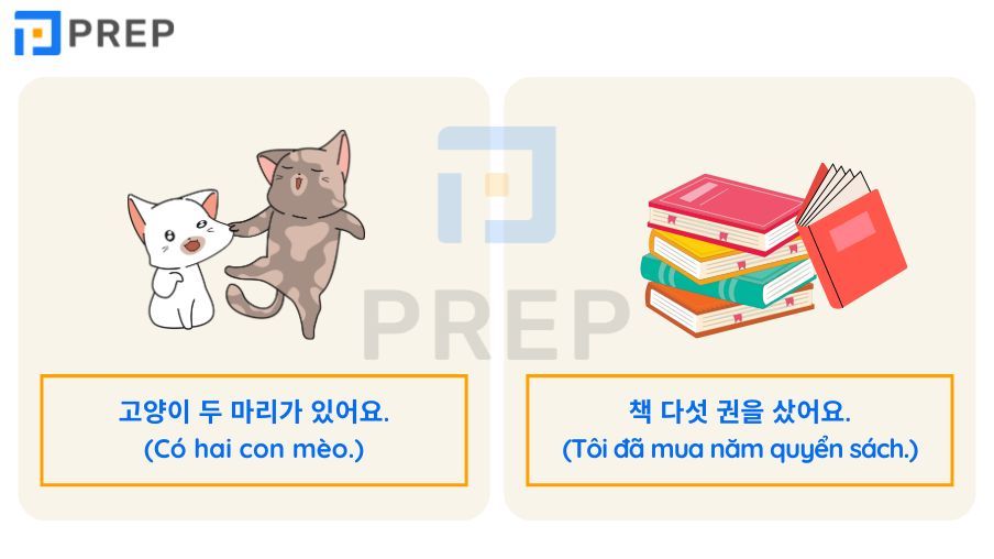 đơn vị đếm trong tiếng Hàn 