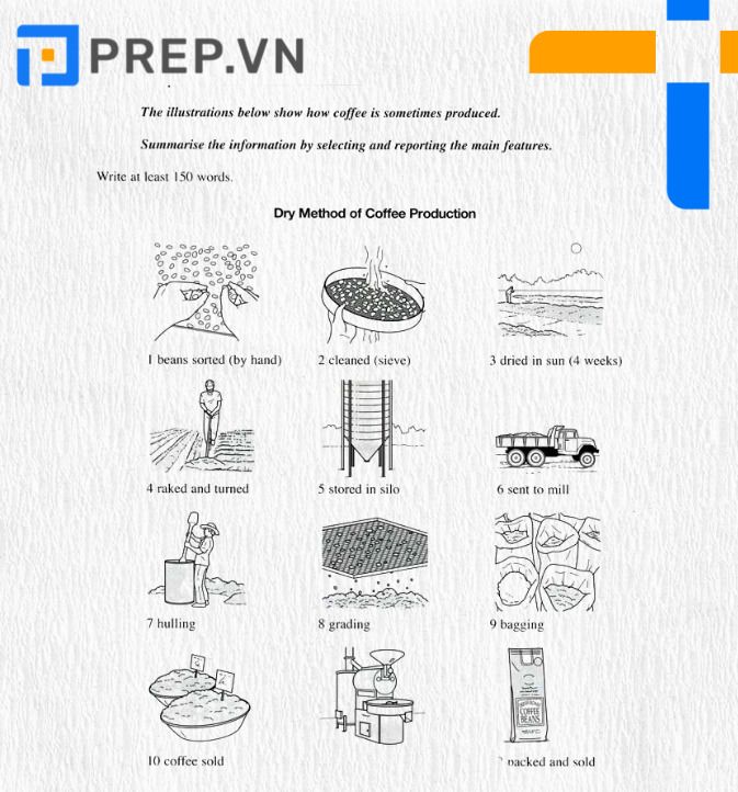 Đề bài IELTS Writing Task 1 Process: Coffee Production
