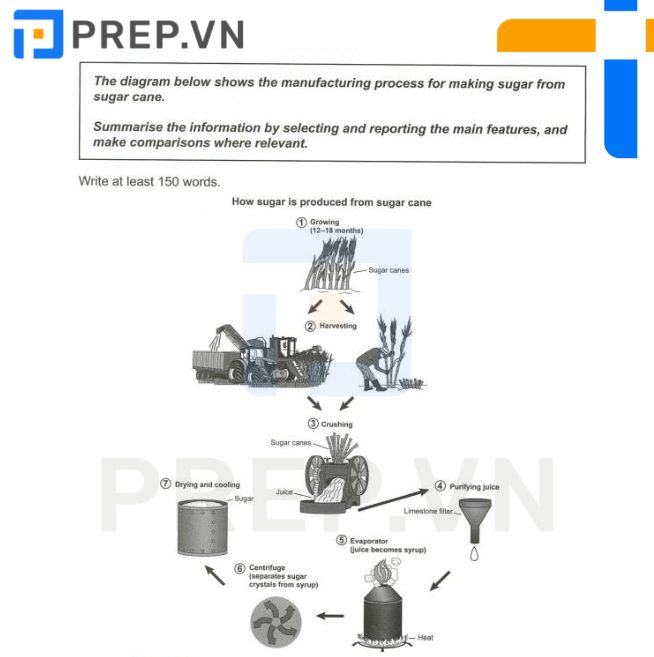 Đề bài IELTS Writing Task 1 Process: Sugar Cane