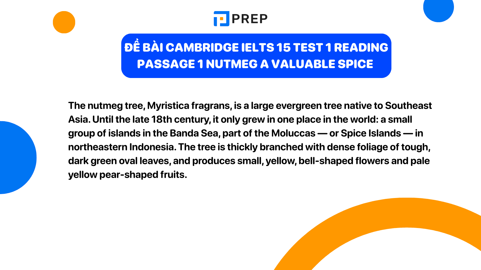 de-bai-nutmeg-a-valuable-spice.png