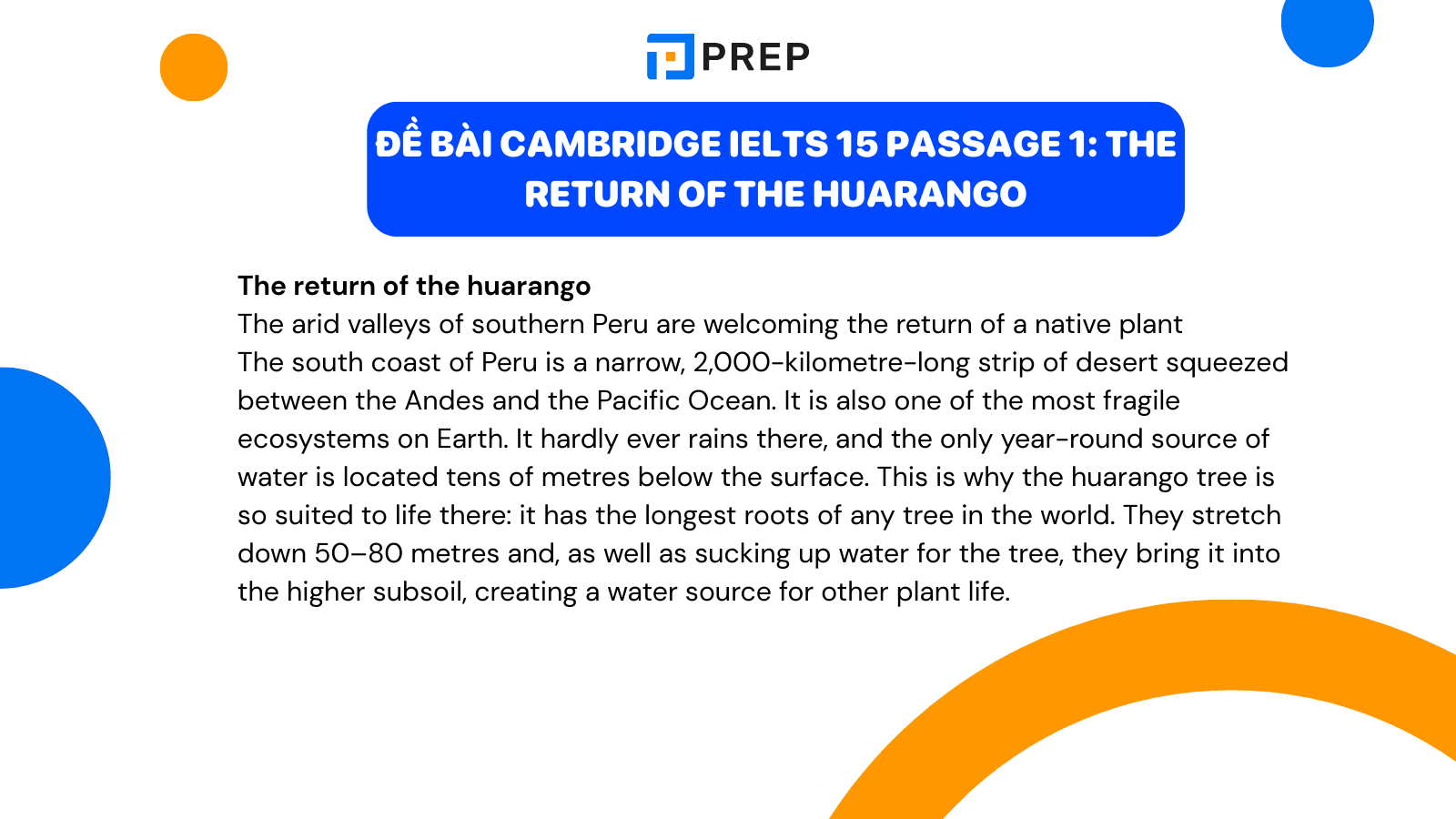 de-bai-the-return-of-the-huarango.png