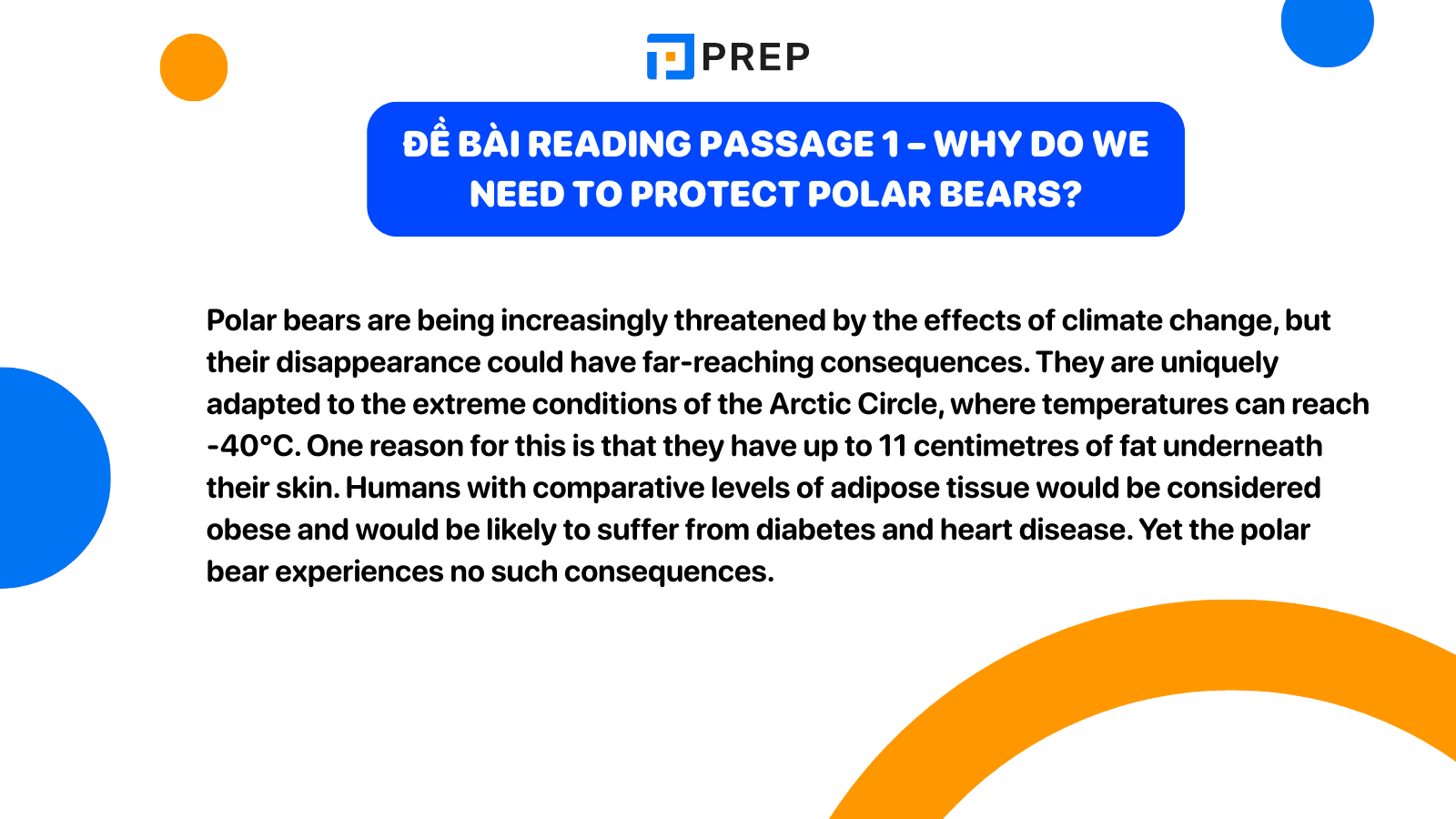 de-bai-why-do-we-need-to-protect-polar-bears.png
