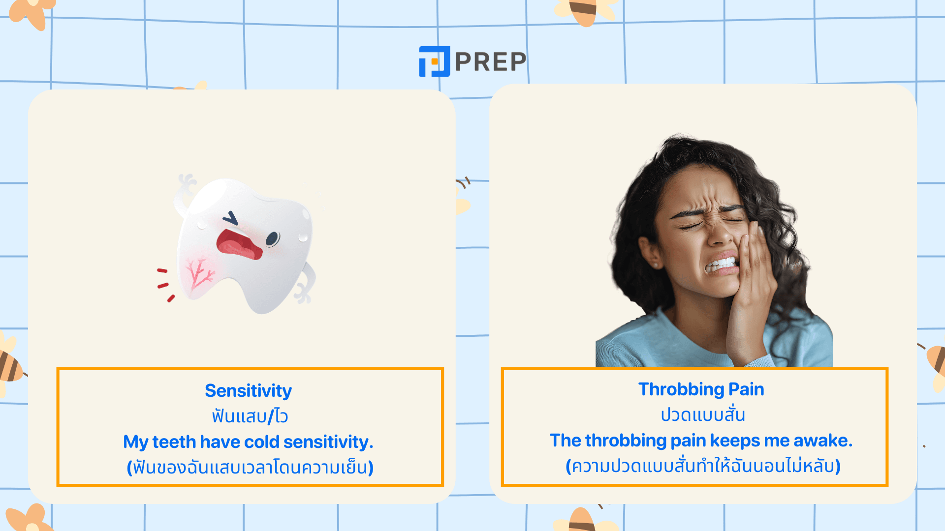 คำศัพท์ทันตกรรมในภาษาอังกฤษ รวมคำที่ใช้บ่อยในคลินิก