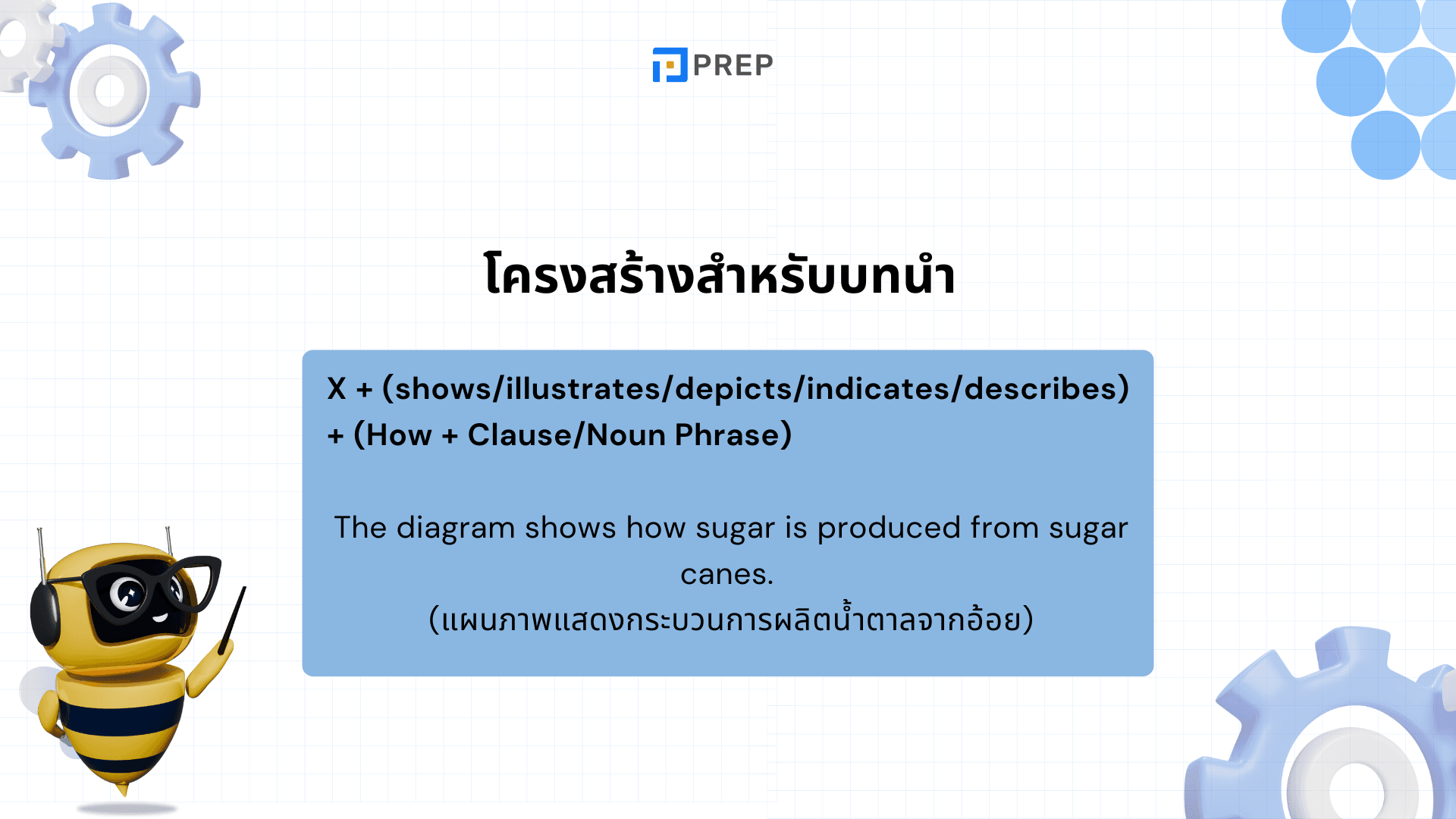 คำศัพท์และประโยคตัวอย่างอธิบายแนวโน้มใน IELTS Writing Task 1