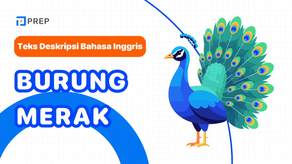 Belajar Deskripsi Burung Merak dengan Contoh Nyata