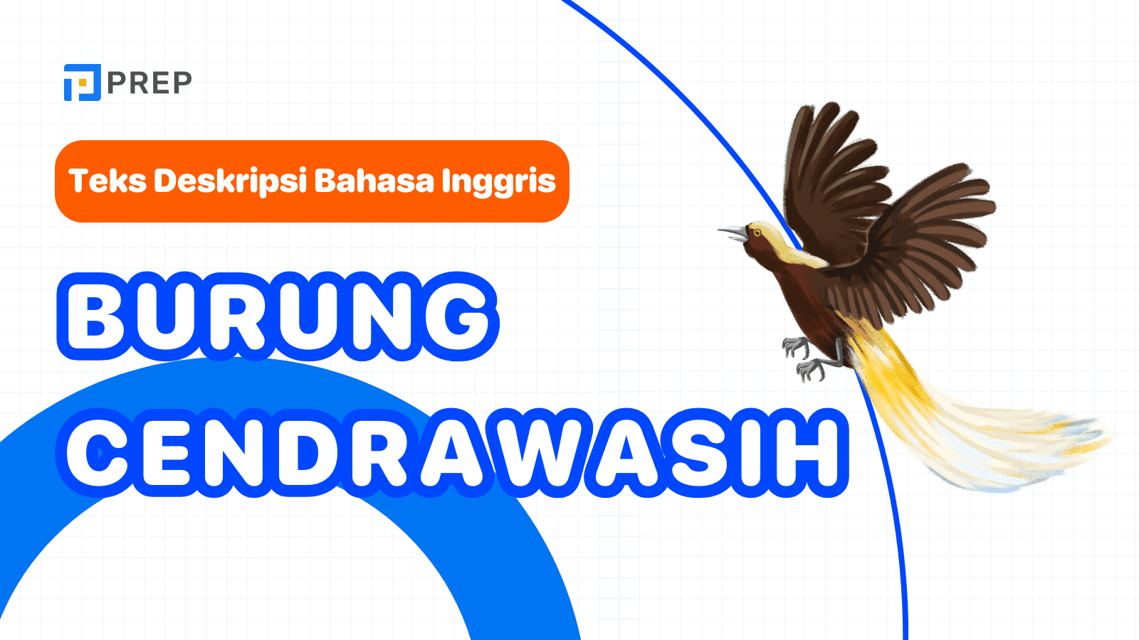 Deskripsi burung cendrawasih akan terasa lebih hidup 