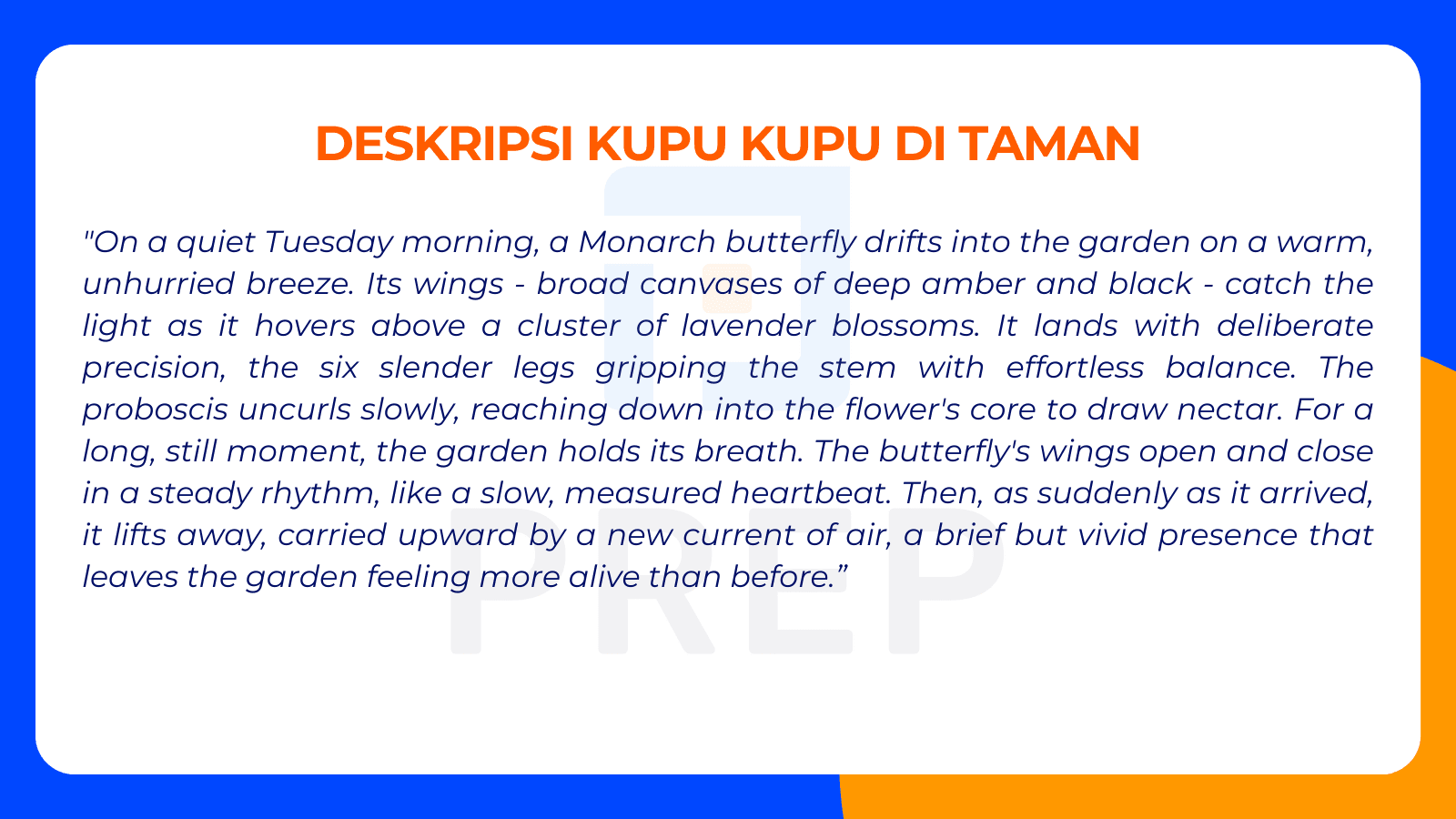 Deskripsi Kupu Kupu di Taman