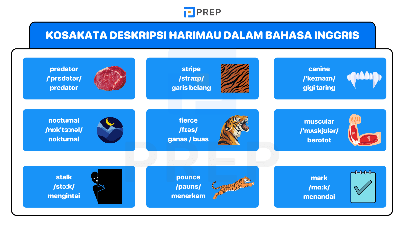 Upgrade Deskripsimu dengan Kosakata Harimau Ini