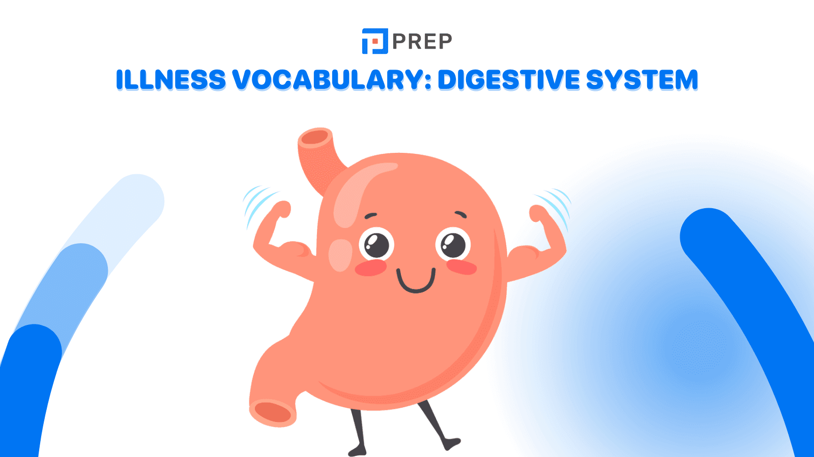 Digestive system