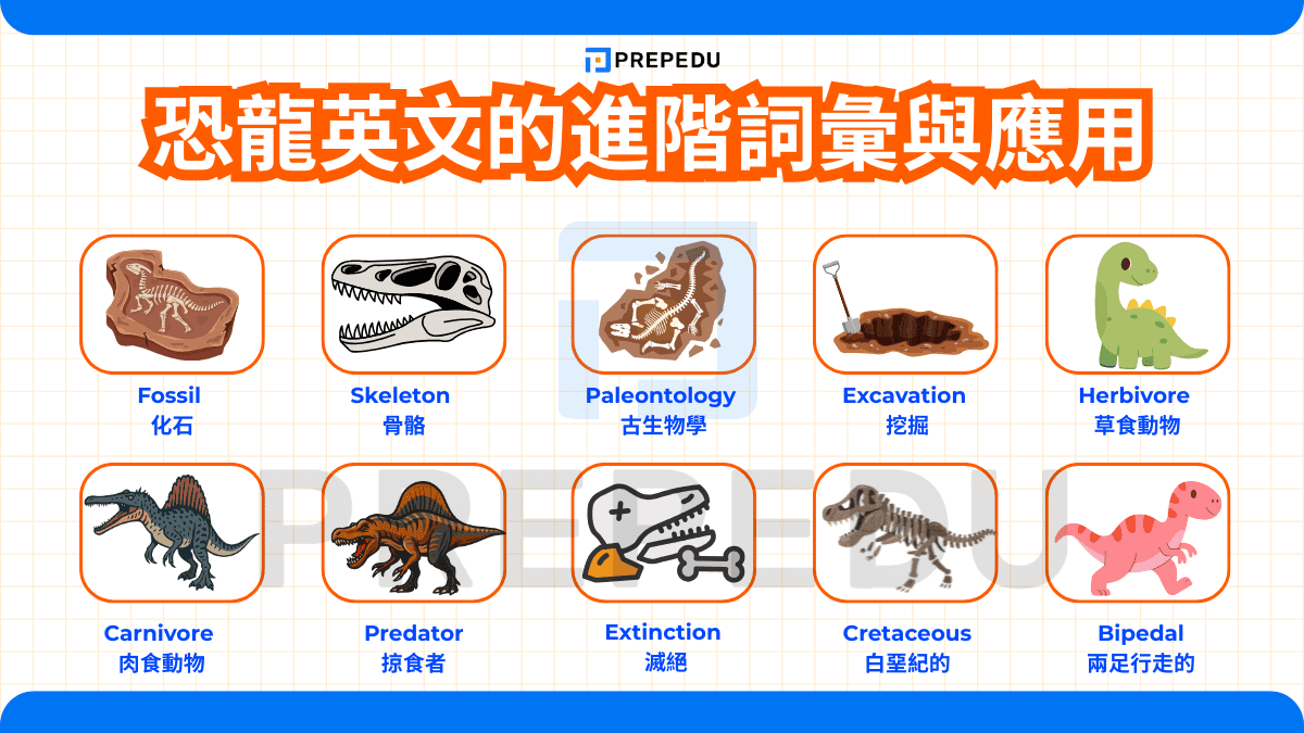 恐龍英文的進階詞彙與應用