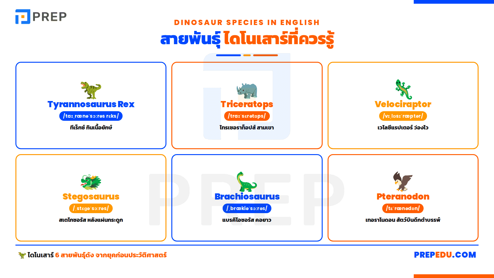 ชื่อสายพันธุ์ไดโนเสาร์ที่ควรรู้