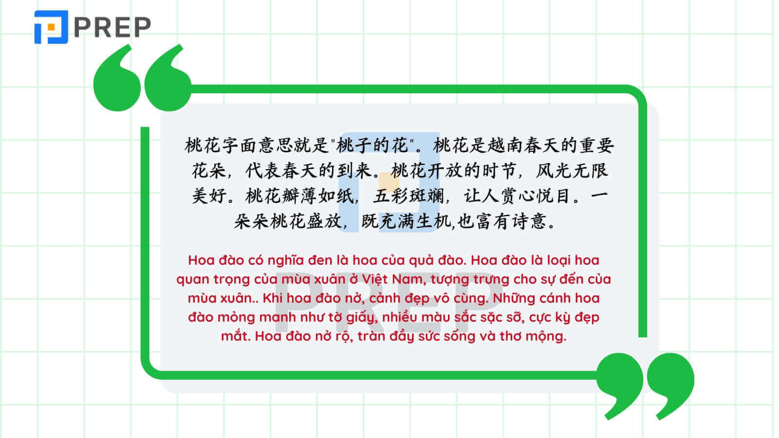 Đoạn văn miêu tả vẻ đẹp các lòa hoa trong tiếng Trung