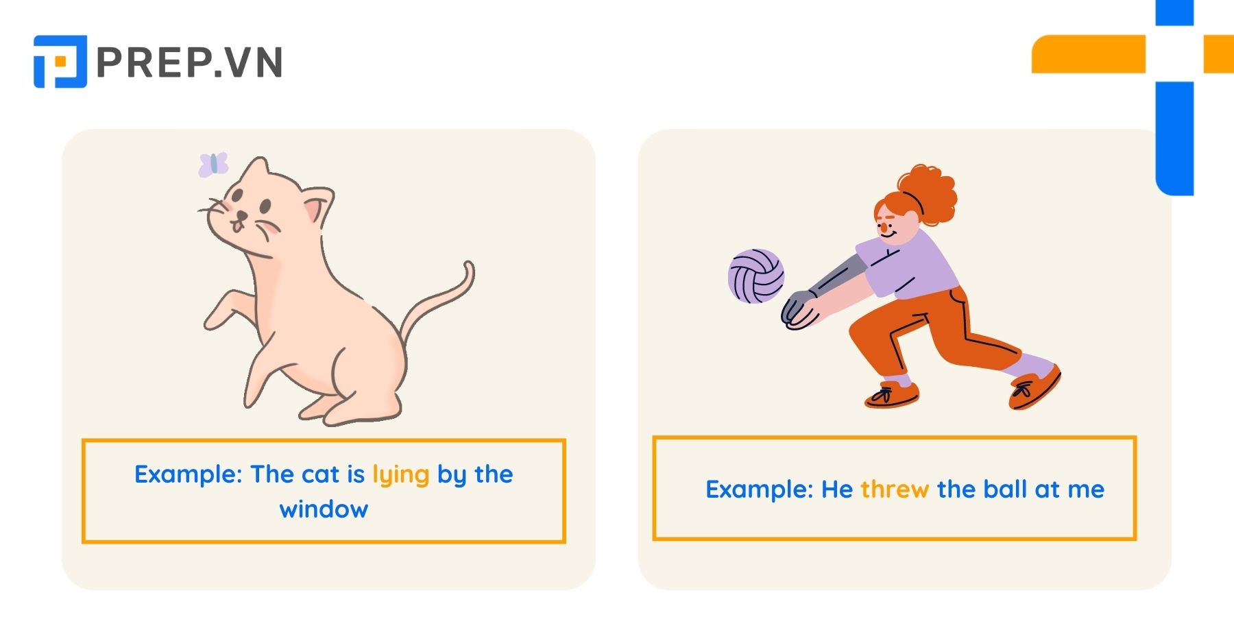 Động từ thể chất (Physical verbs)
