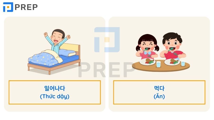 động từ tiếng Hàn
