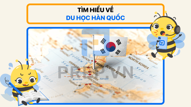 du học hàn quốc, du học hàn quốc nên học ngành gì