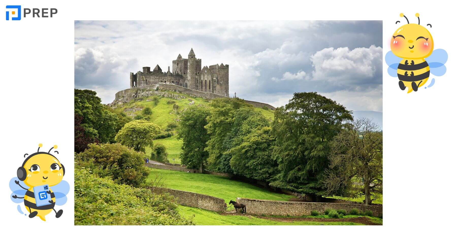 Du học ireland