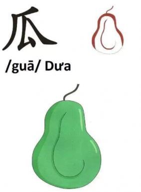 Cách viết chữ 瓜