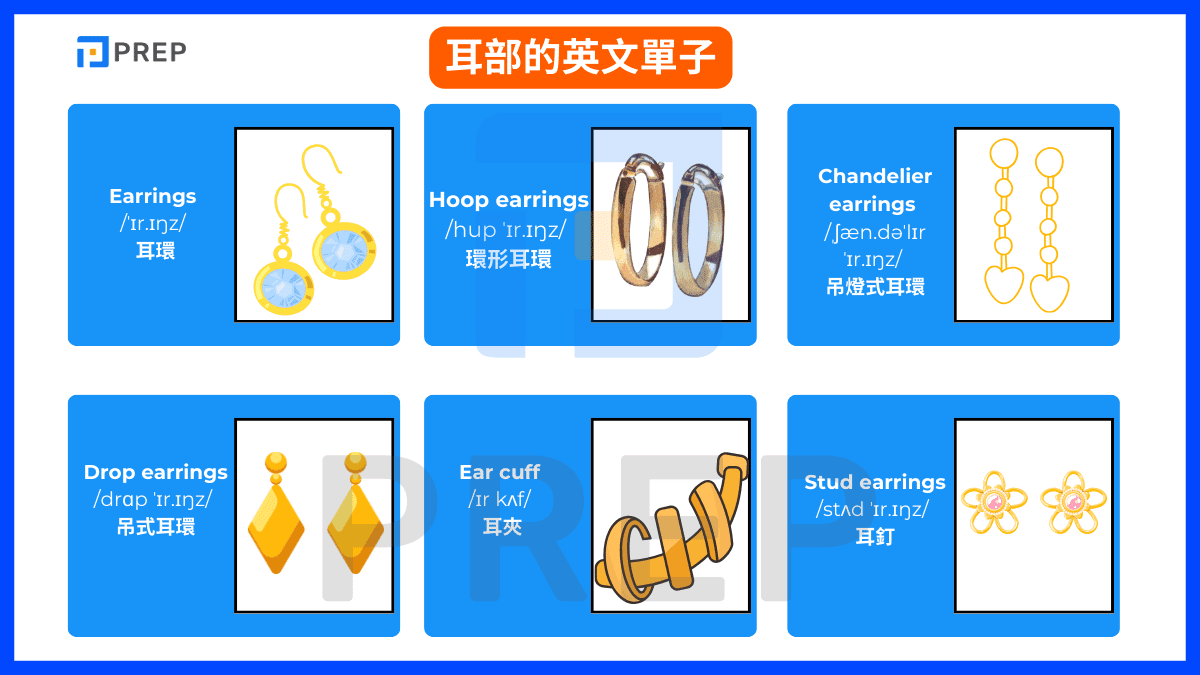耳部的英文單子