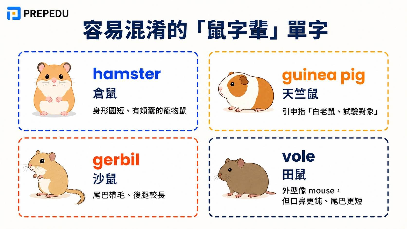 easily-confused-rodent-vocabulary.jpg