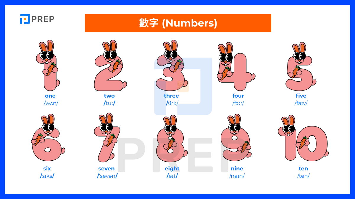 國小必備英文單字 - 英文數字單子