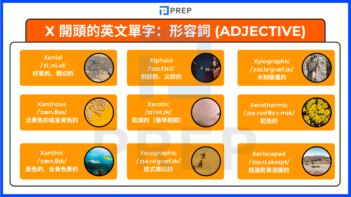 english-adjectives-beginning-with-x.png