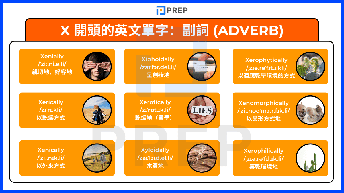 english-adverbs-beginning-with-x.png