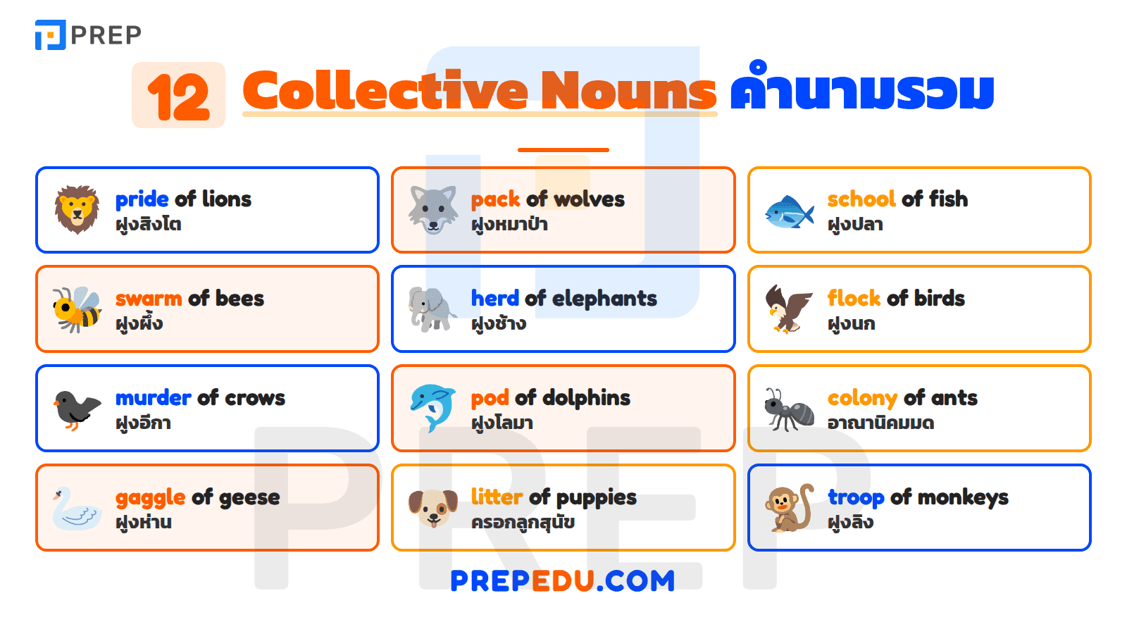 คำนามรวมของสัตว์ (Collective Nouns)