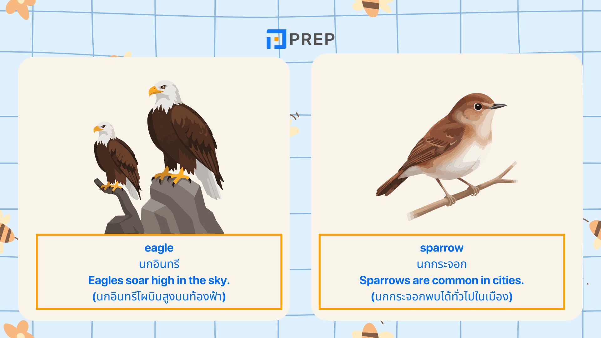 คำศัพท์สัตว์ภาษาอังกฤษ รวมชื่อสัตว์น่ารู้ พร้อมคำอ่าน