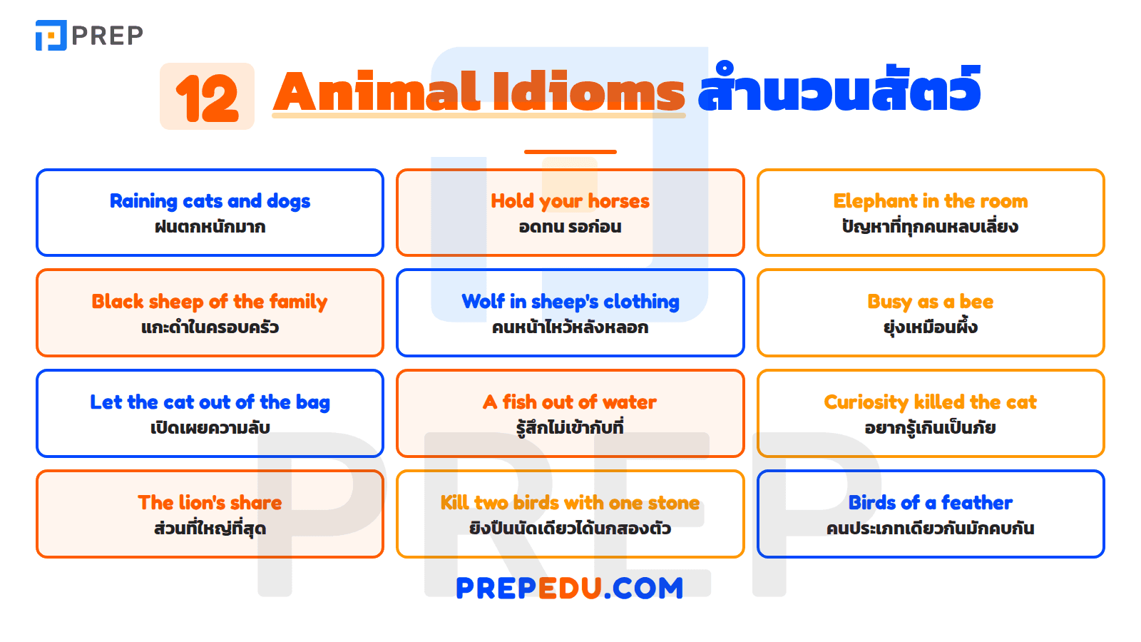 สำนวนเกี่ยวกับสัตว์ (Animal Idioms)