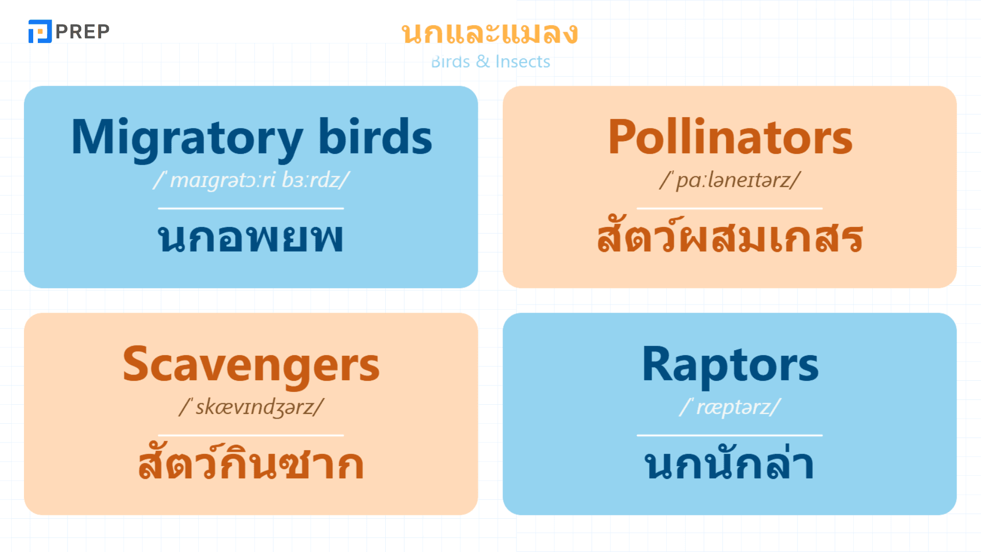คำศัพท์สัตว์ภาษาอังกฤษที่ใช้บ่อยในข้อสอบ IELTS