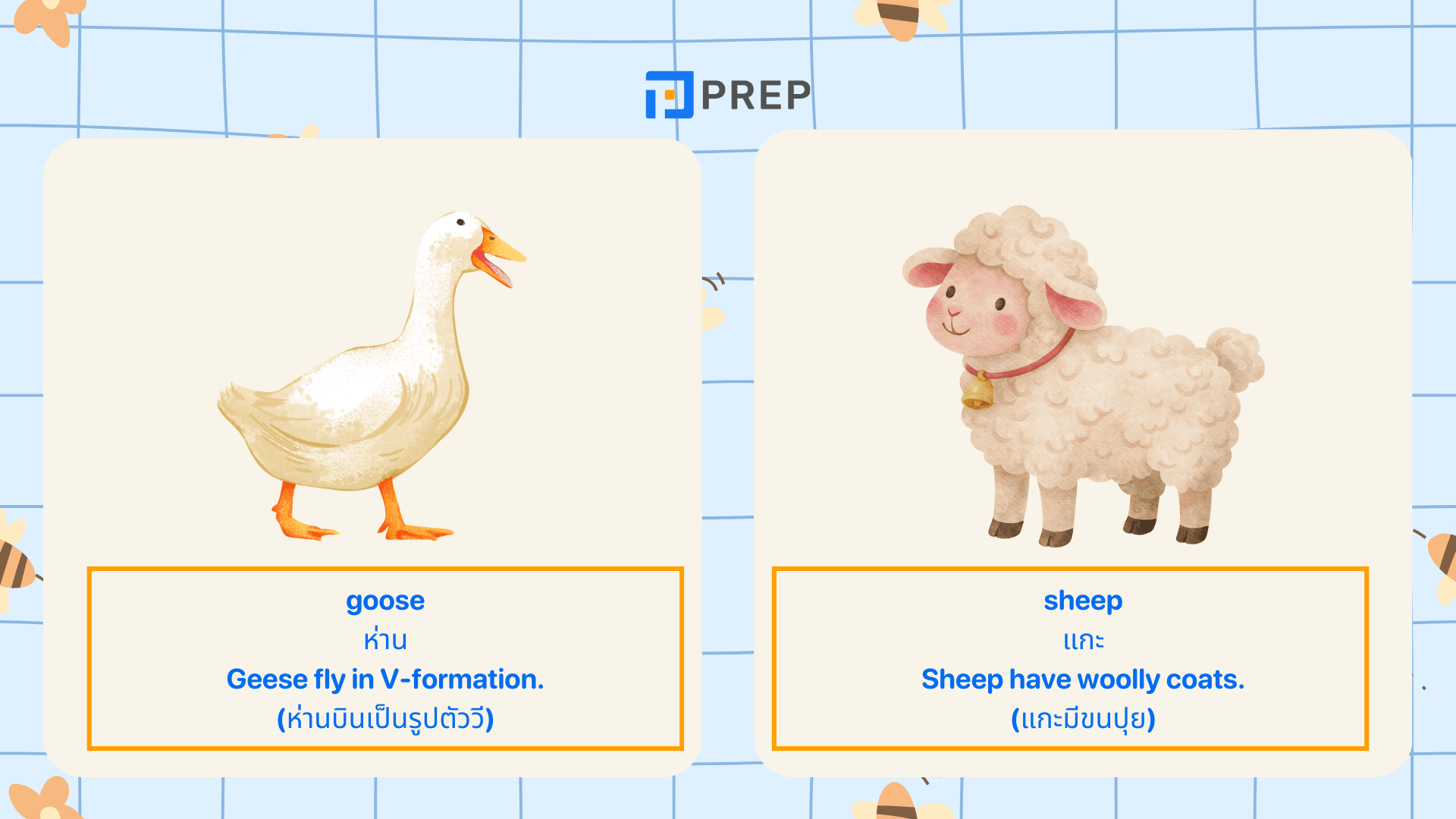คำศัพท์สัตว์ภาษาอังกฤษ รวมชื่อสัตว์น่ารู้ พร้อมคำอ่าน