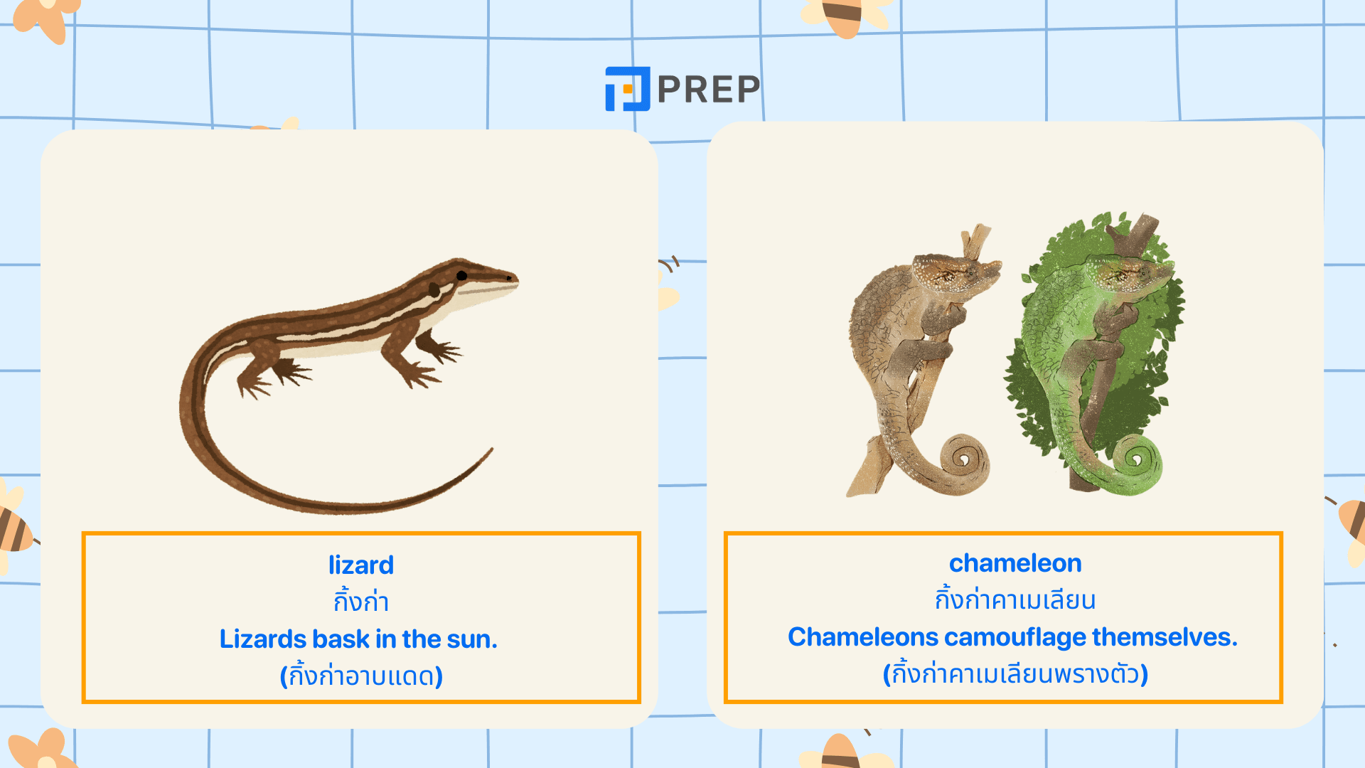 คำศัพท์สัตว์ภาษาอังกฤษ รวมชื่อสัตว์น่ารู้ พร้อมคำอ่าน