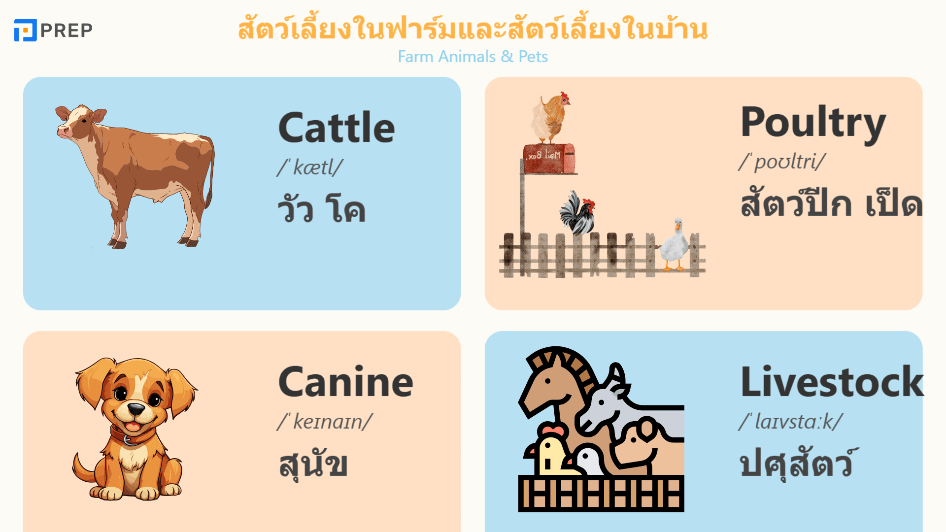 คำศัพท์สัตว์ภาษาอังกฤษที่ใช้บ่อยในข้อสอบ IELTS