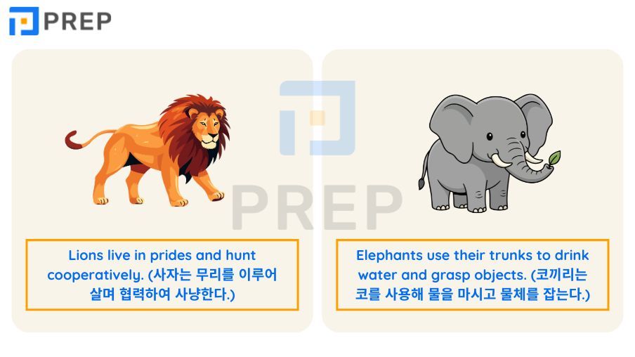 최다 빈출 동물 영어로 된 어휘 150선: 발음, 의미 및 연어의 심층 분석