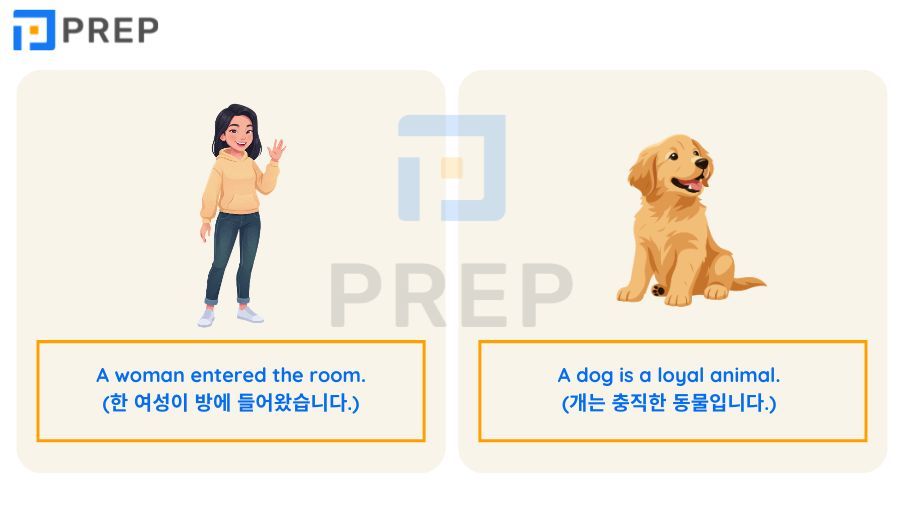 영어 관사 총정리: 가산명사부터 예외 규칙까지 완벽 가이드
