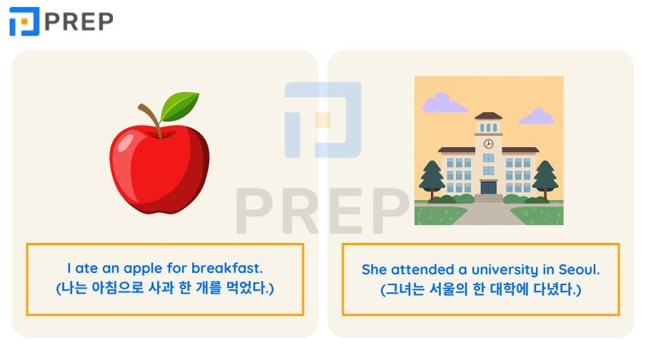 영어 관사 총정리: 가산명사부터 예외 규칙까지 완벽 가이드