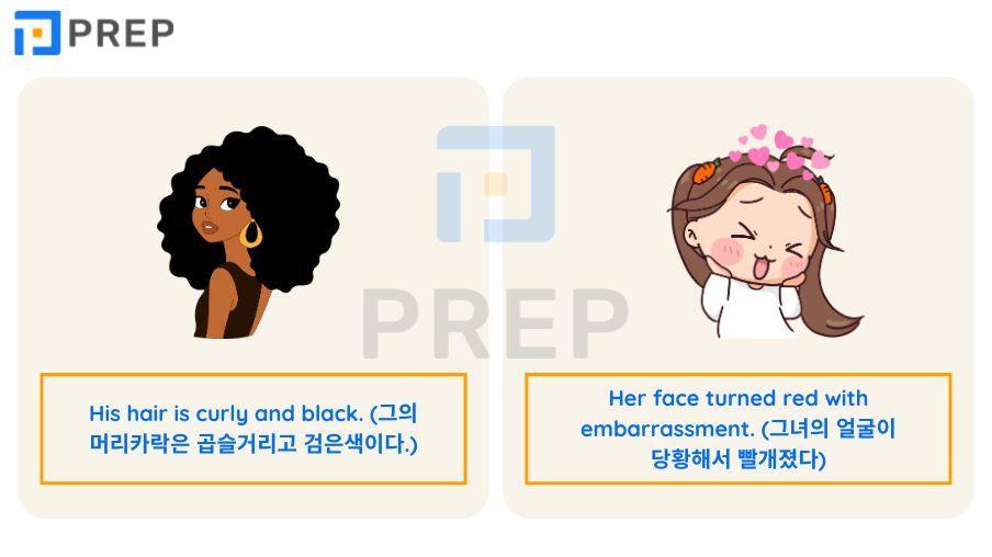 신체 구조와 몸 영어 로 표현하는 상용 단어 100여 개의 심층 학습