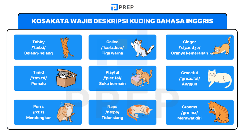 Bank Vocabulary Deskripsi Kucing Bahasa Inggris yang Profesional