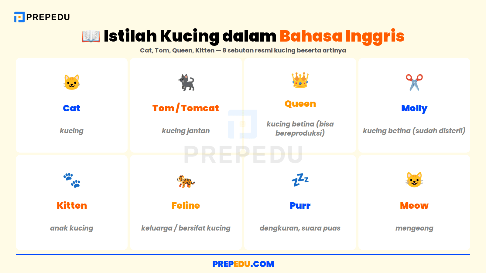 Delapan istilah resmi kucing dalam bahasa Inggris beserta lafalnya