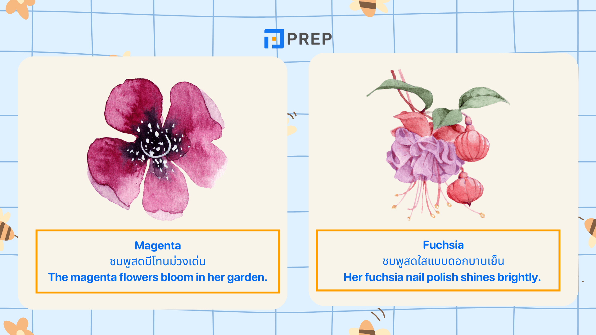 Color Vocab รวมคำศัพท์สีภาษาอังกฤษ พร้อมตัวอย่างใช้ง่าย