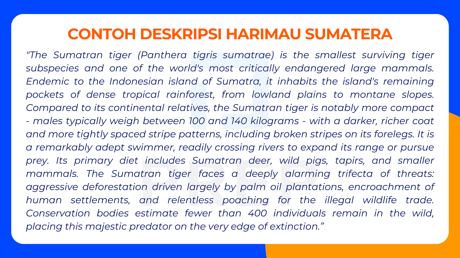 Contoh Deskripsi Harimau Sumatera
